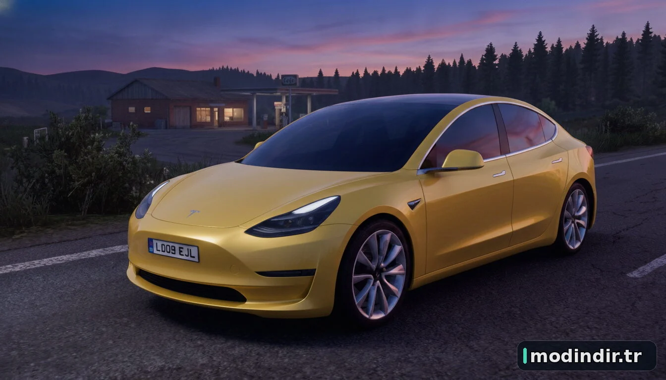 2021 Tesla Model 3 Performance 2.3 1.60x