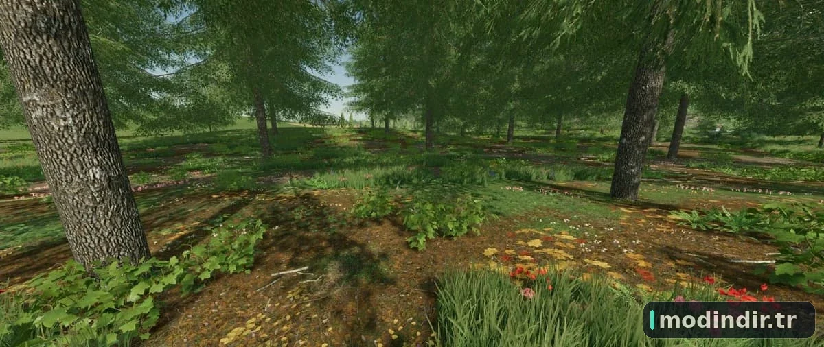 FELSBRUNN MAP V1.0.2