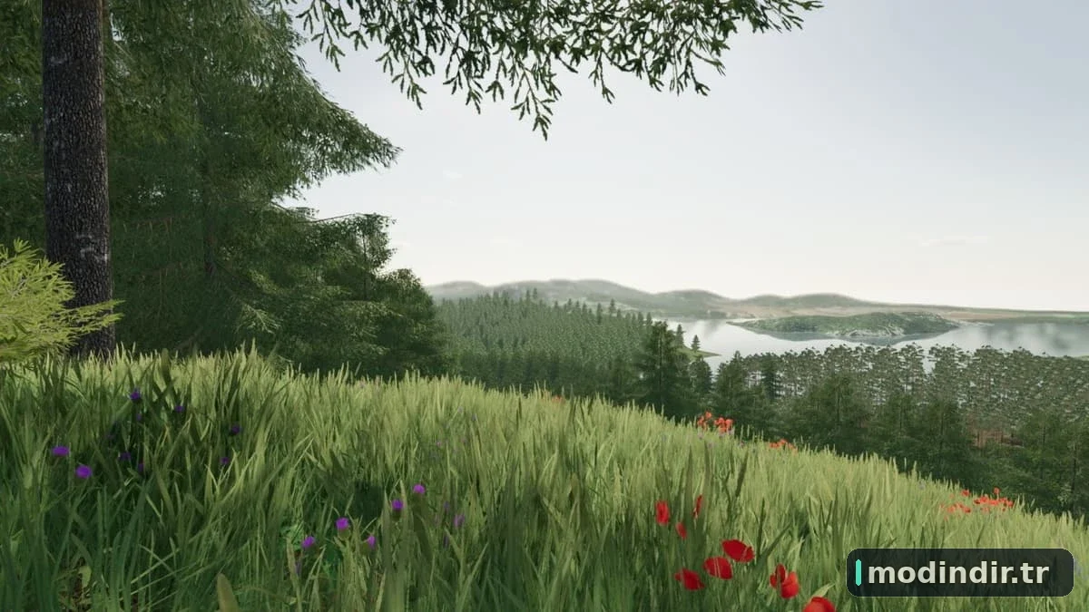 CROOKED HILLS V1.1