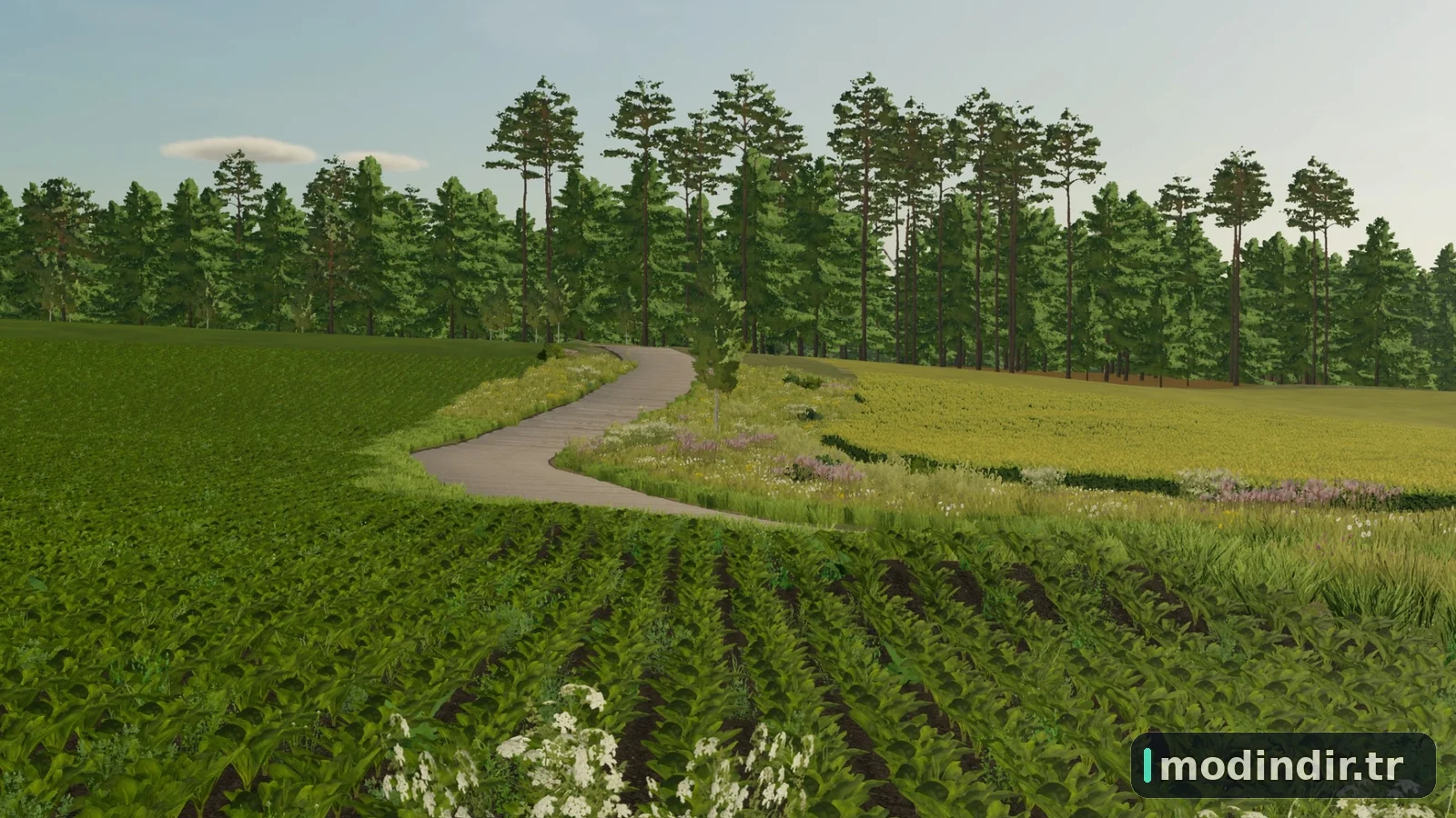 FICHTENGRUND V1.1.1