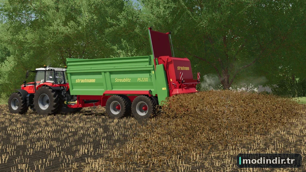 STRAUTMANN PS2201 V1.0