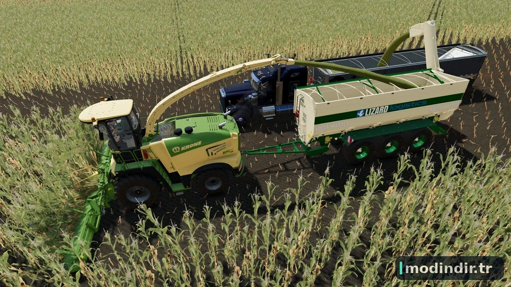 LIZARD AUGER MASTER V1.0
