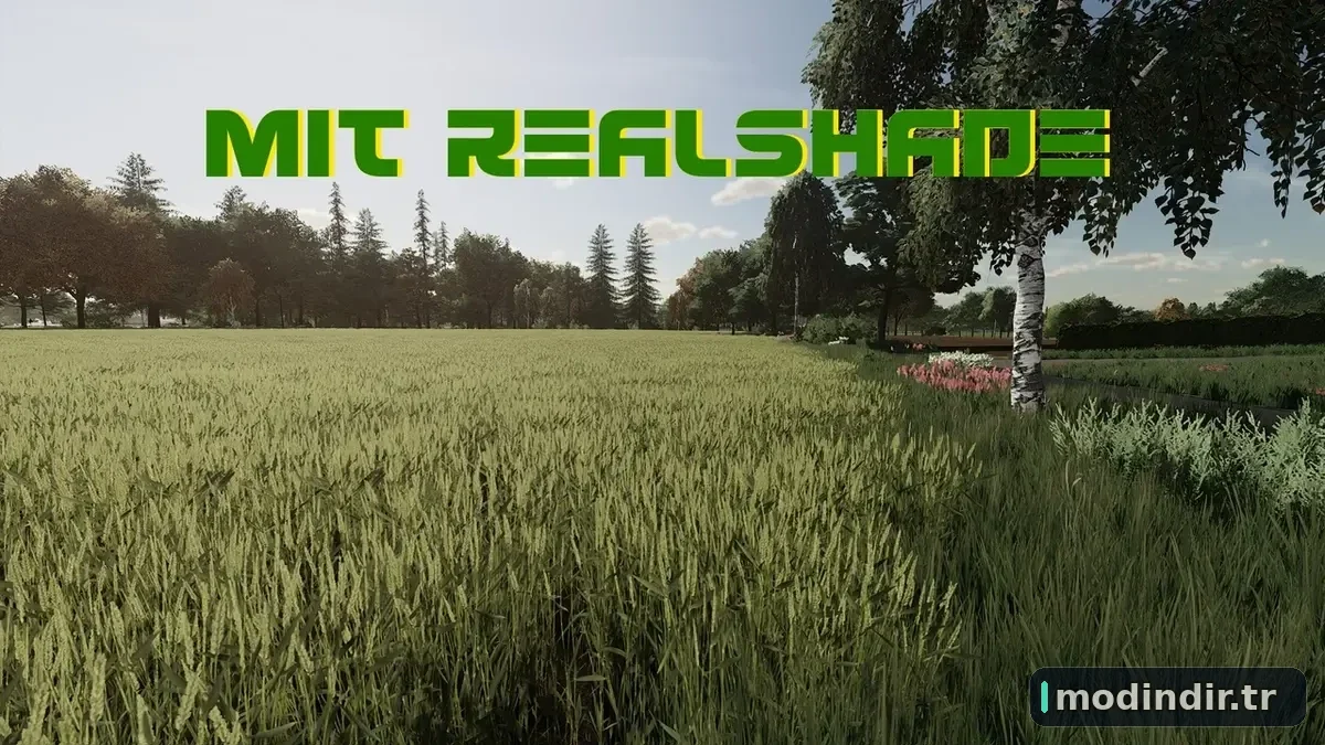 GSG REALSHADE V1.0.1