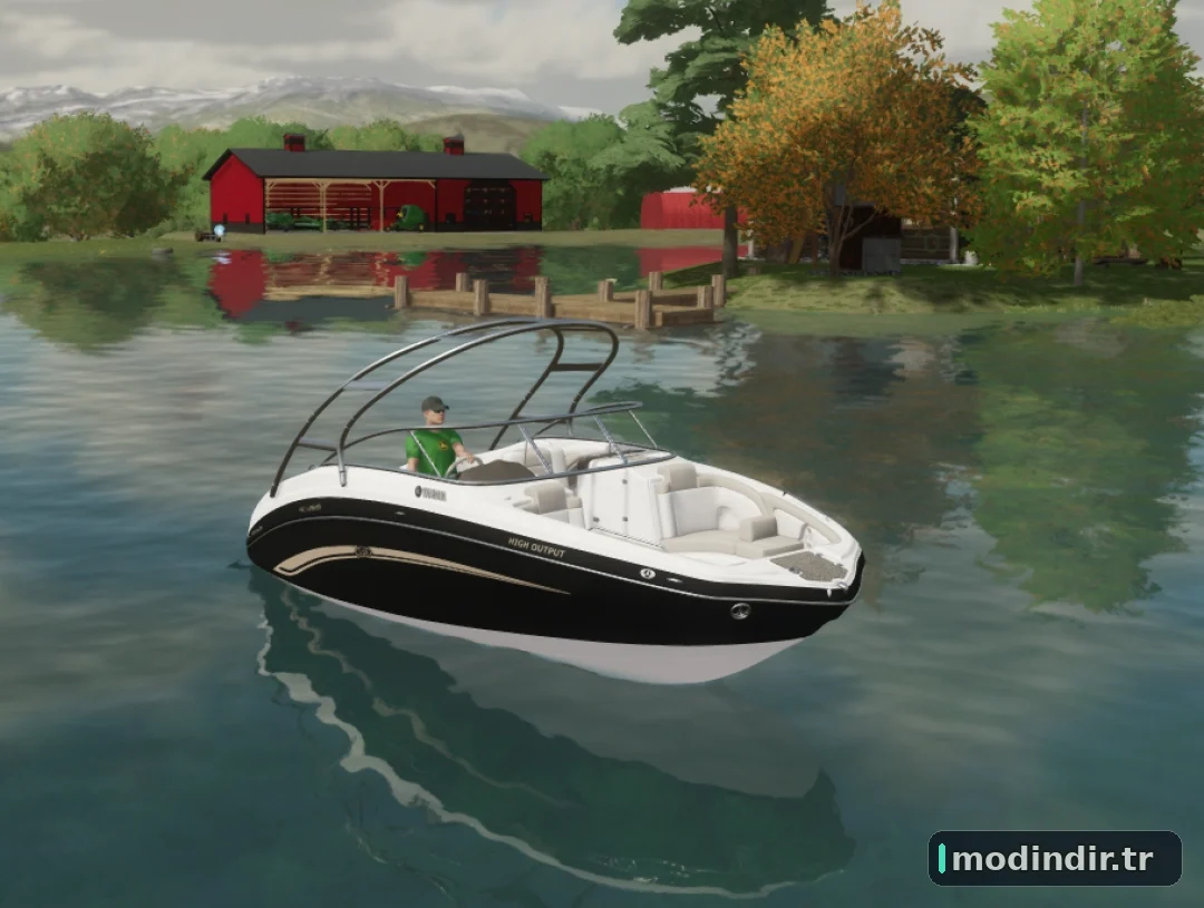 Yamaha 242 Limited Speed Boat REAL