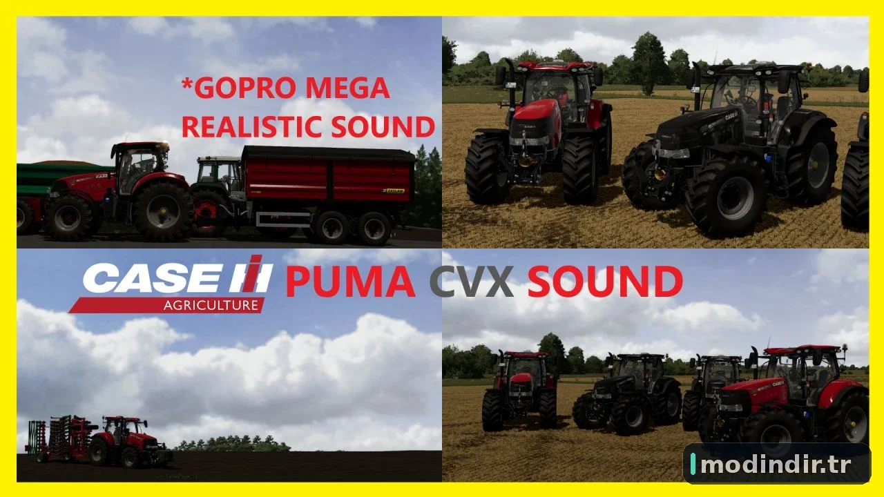CASE PUMA GOPRO SOUND PREFAB V1.0