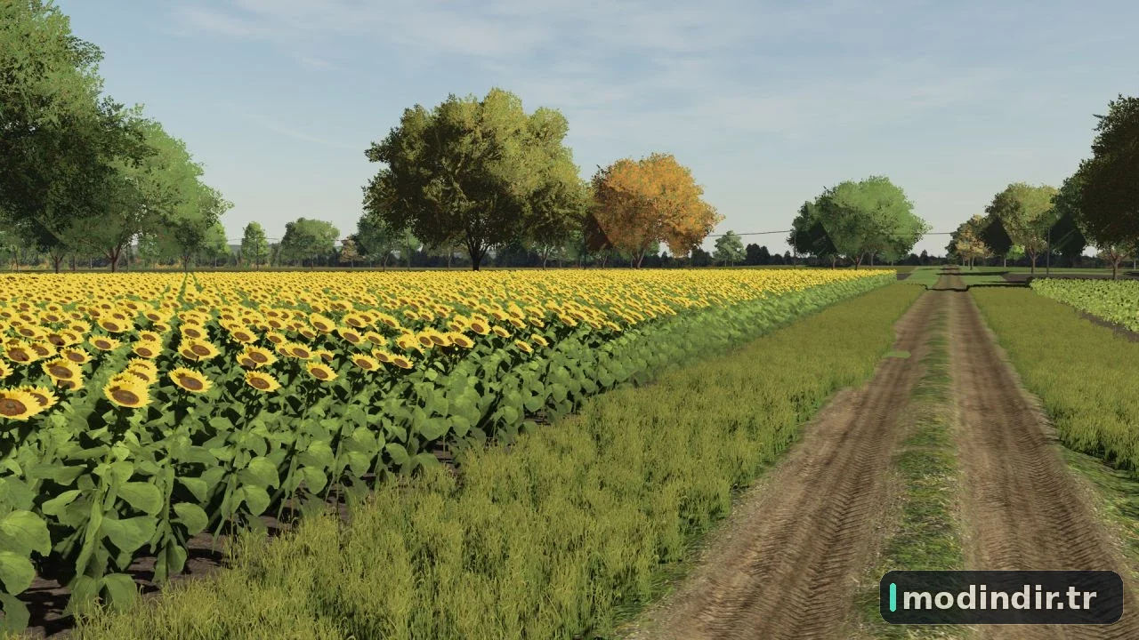 ERDEVIK MAP 2022 V1.0