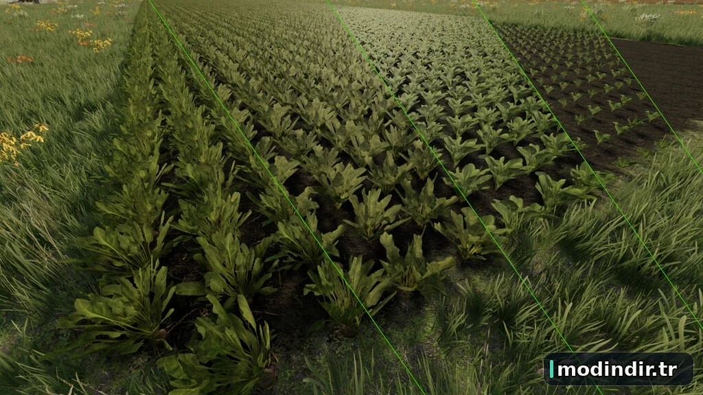 Grow Now v1.0