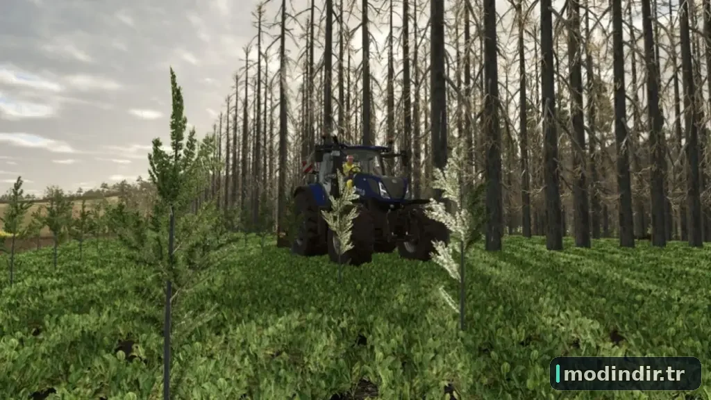 No tree limits V1.0