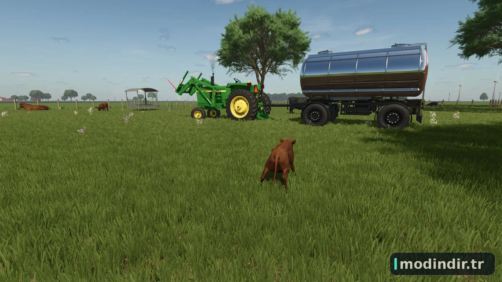 Beef Cattle Pasture V1.0