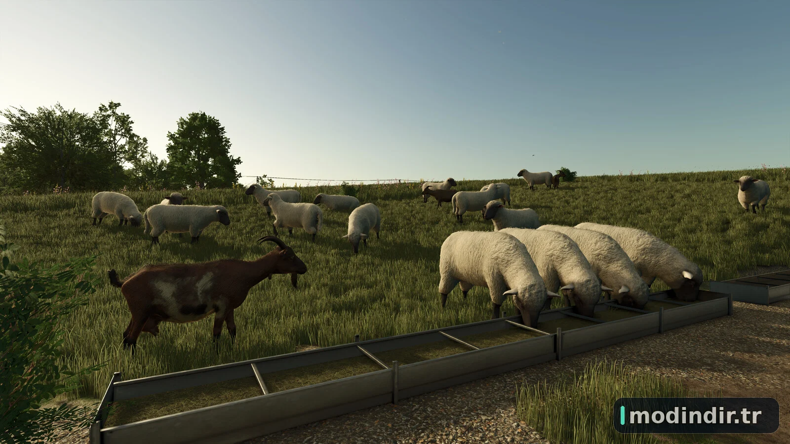 Fenceless Pastures V1.0
