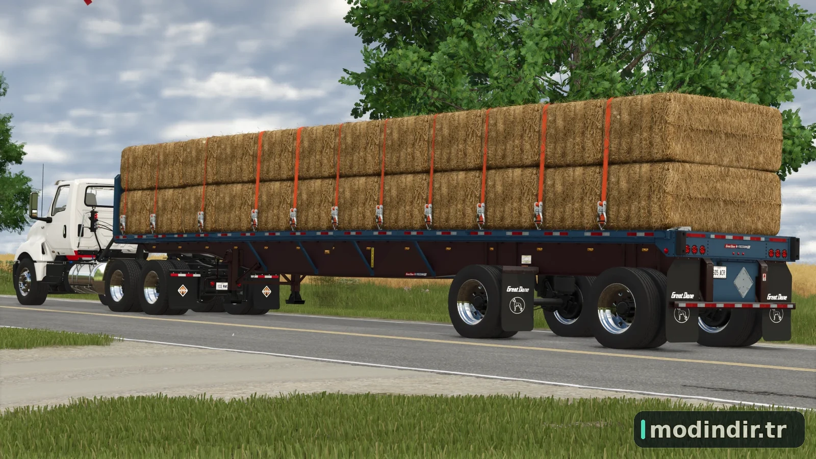 Great Dane FLC V1.0