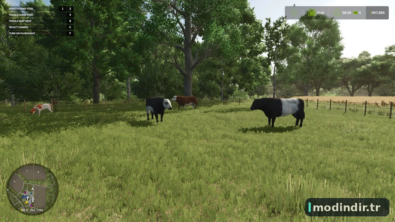 Animal pack – More Cattle Breeds Edition V1.0