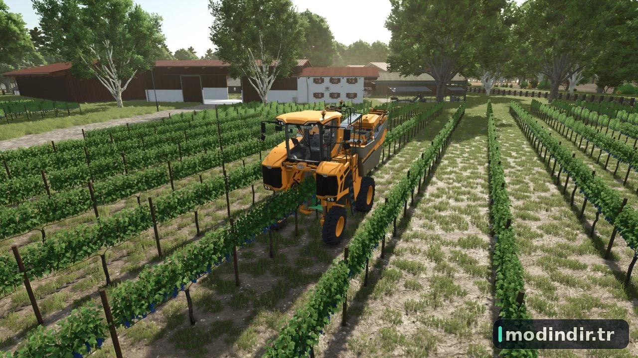 Tools for grapes and olives V1.0