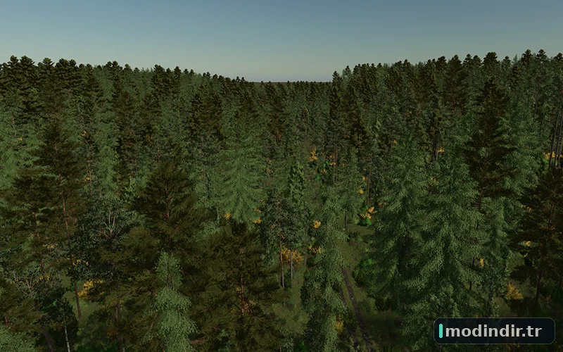 Back Roads County Forestry Edition 4x V1.0