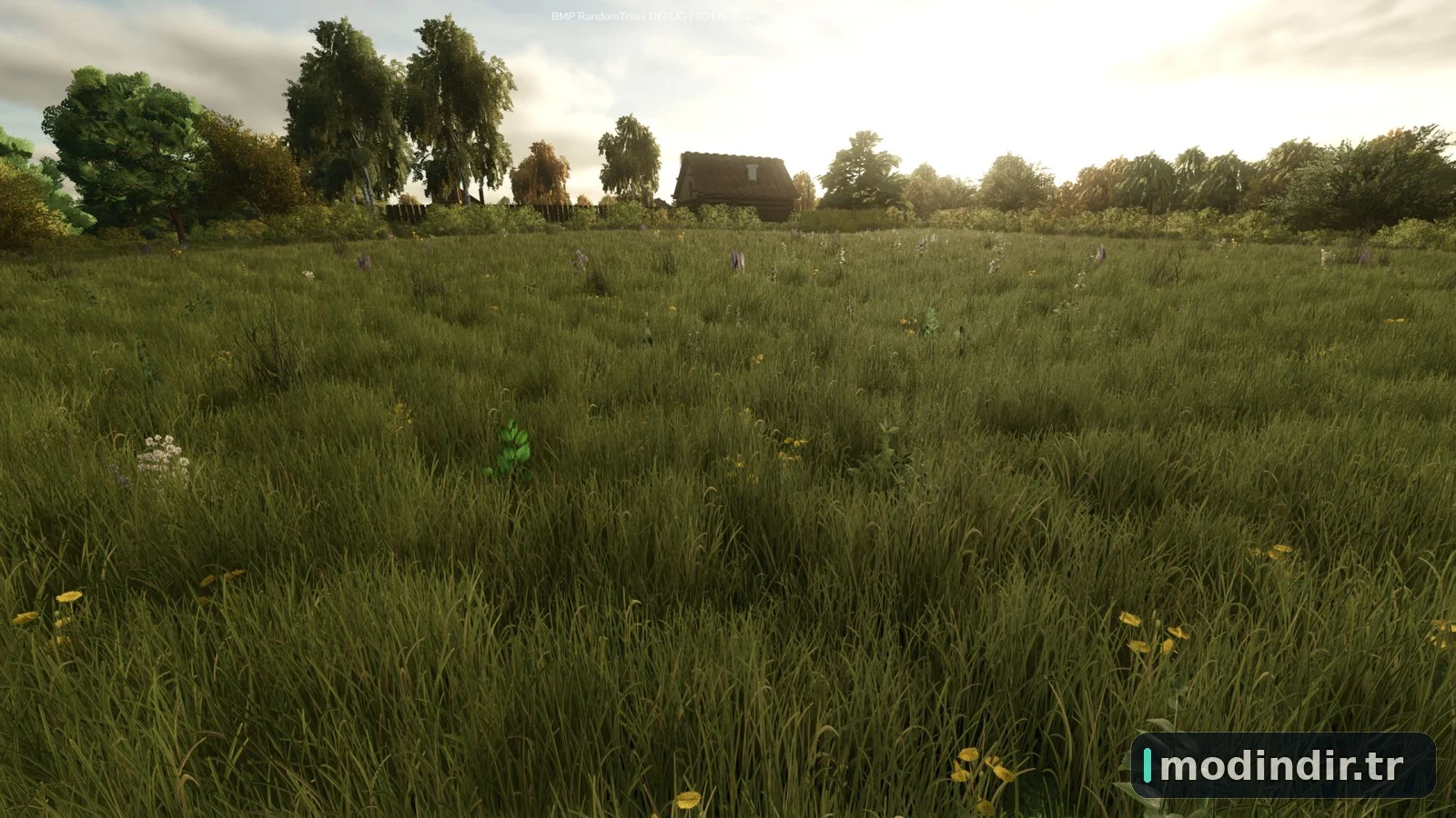 Growing Random Trees V1.0.6