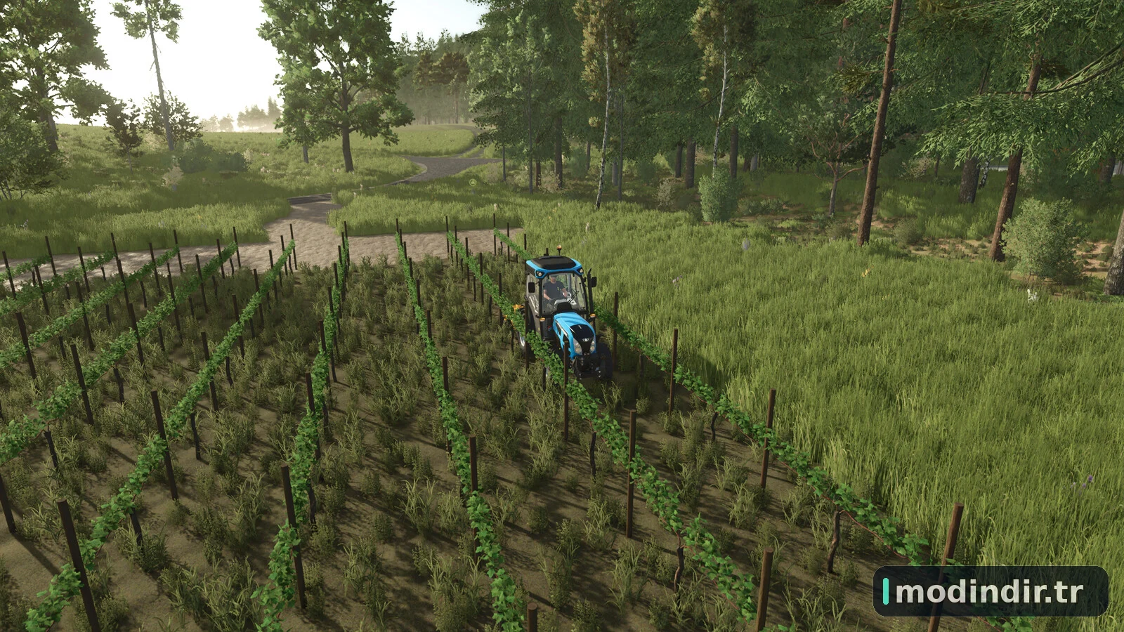 GrapeProcessing And Grape Olives Vines V1.1
