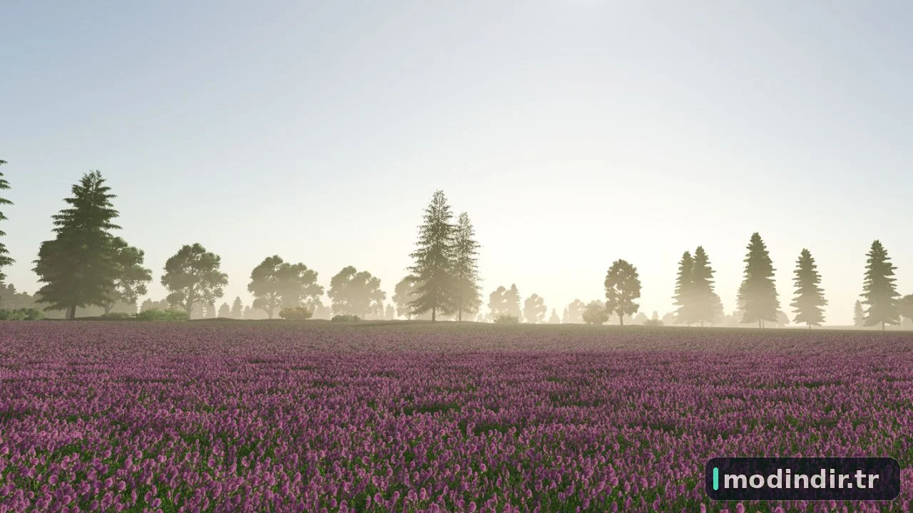Lausitzer Landschaften 4x V1.0.1.1