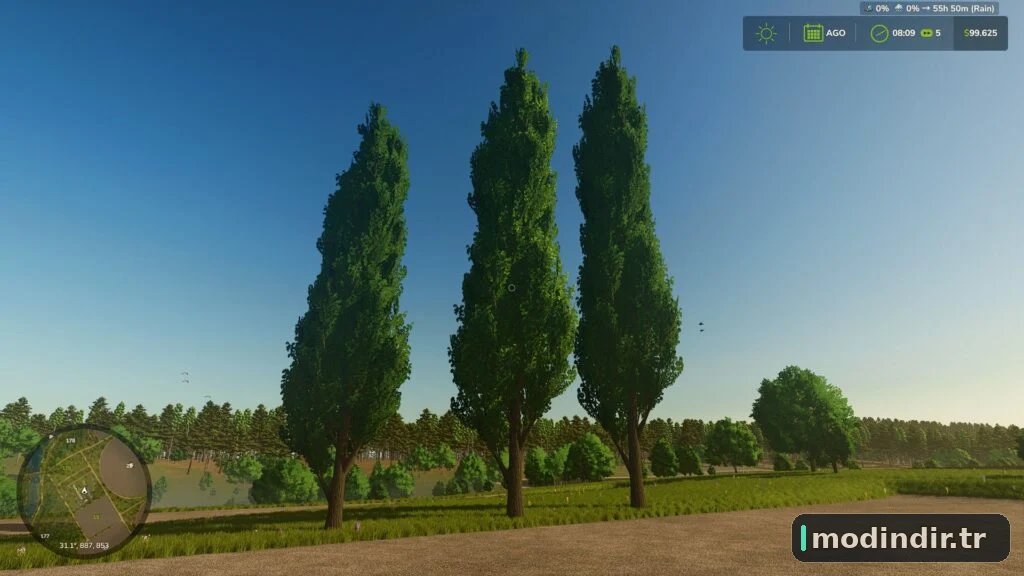 Black poplar (tree) V1.0.2